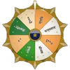 Spin the Lucky Wheel welfare icon